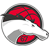 Leicester Riders