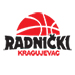 KK Radnicki