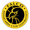 Falco-Vulcano Energia KC Szombathely